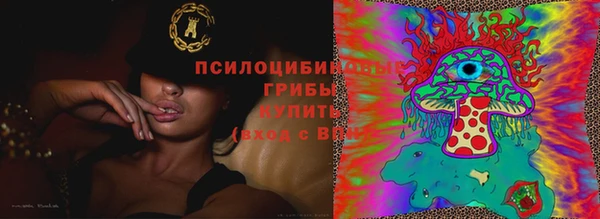 МДМА Новозыбков