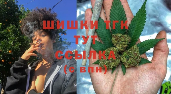 МДМА Новозыбков