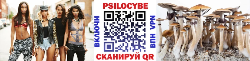 Купить где Усть-Джегута Галлюциногенные грибы Psilocybe